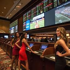 8g bet login